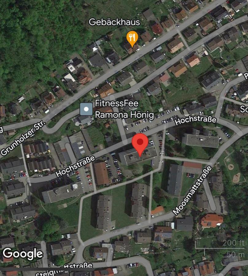 Grosse Und Helle Ferien Wohnung Mit Parkplatzen Laufenburg Eksteriør billede